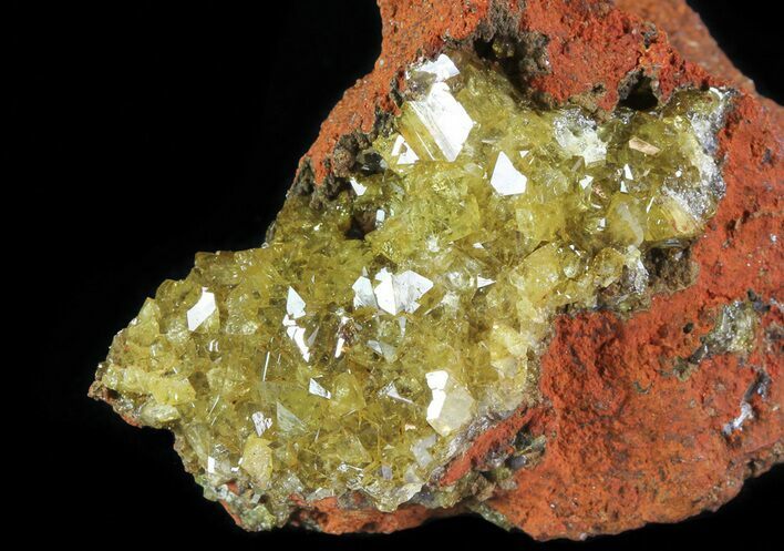 Gemmy, Yellow-Green Adamite Crystals - Durango, Mexico #65304